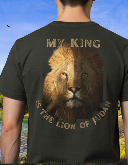 Remnant 'Daniel' Series Lions - Unisex oversized t-shirt